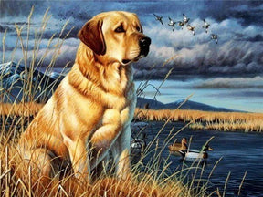 Diamond Painting Labrador